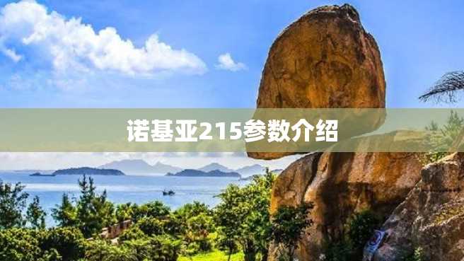 诺基亚215参数介绍
