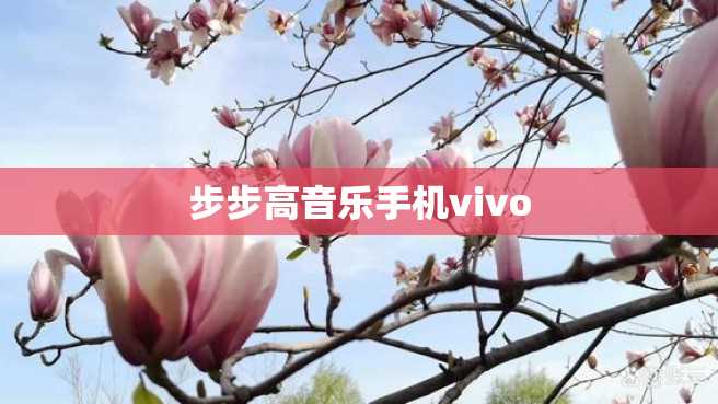 步步高音乐手机vivo 步步高音乐手机vivo