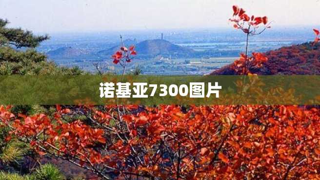 诺基亚7300图片