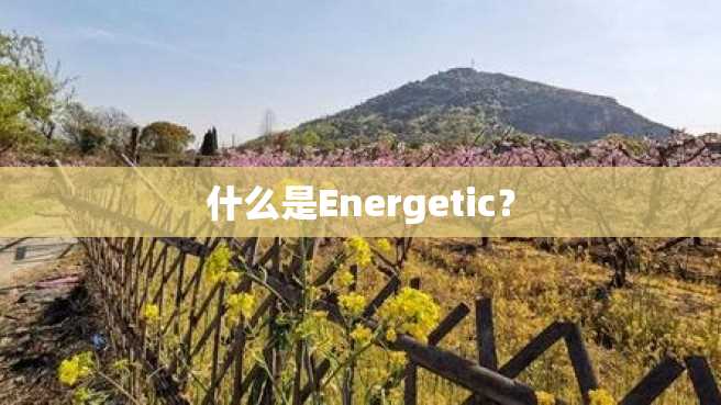 什么是Energetic? 什么是Energetic?