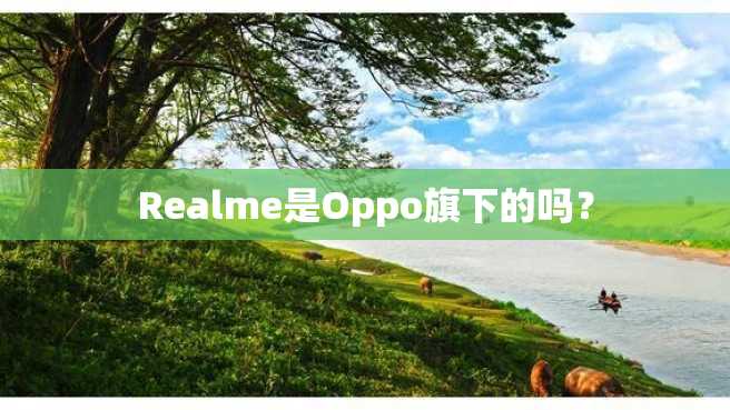 Realme是Oppo旗下的吗? Realme是Oppo旗下的吗?