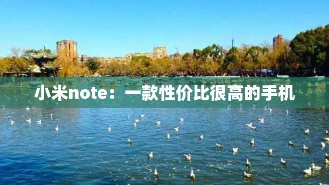 小米note:一款性价比很高的手机 小米note:一款性价比很高的手机