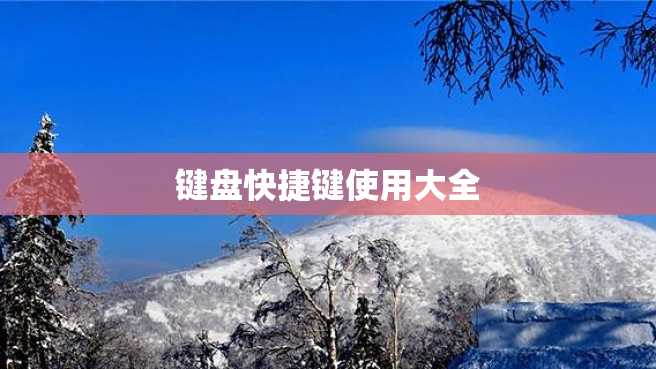键盘快捷键使用大全 键盘快捷键使用大全