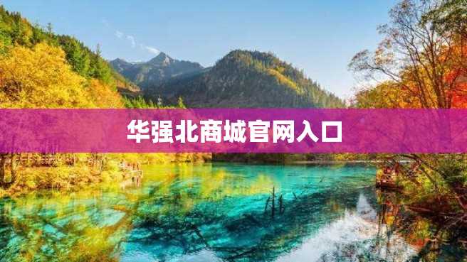 华强北商城官网入口