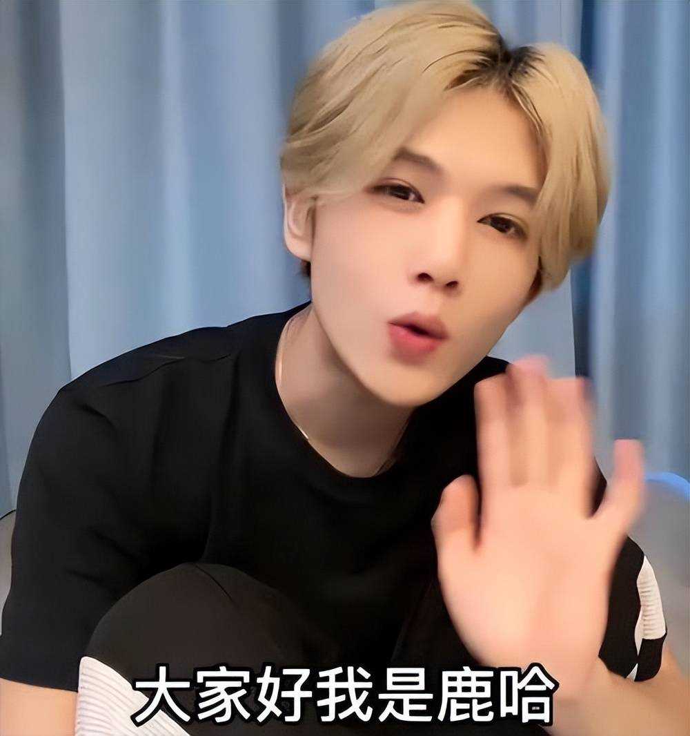 网红鹿哈自曝带货7个月挣3500万 主播赚钱真让人羡慕!