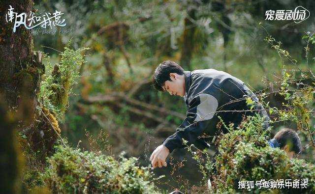 《南风知我意》朱旧妥协选择嫁给季司郎 傅云深拄拐抢婚当场吐血身亡