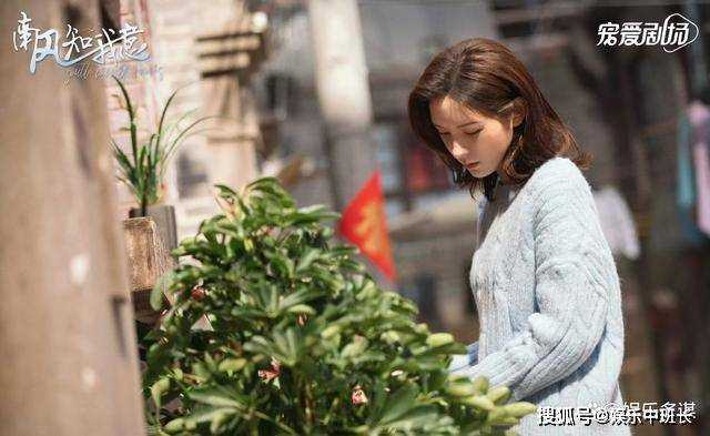 《南风知我意》朱旧妥协选择嫁给季司郎 傅云深拄拐抢婚当场吐血身亡
