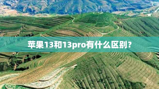 苹果13和13pro有什么区别？