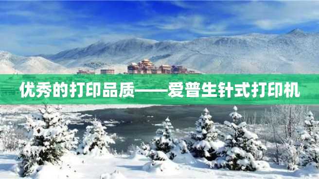 优秀的打印品质——爱普生针式打印机 优秀的打印品质——爱普生针式打印机