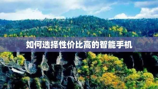 如何选择性价比高的智能手机 如何选择性价比高的智能手机