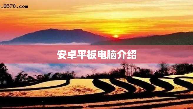 安卓平板电脑介绍 安卓平板电脑介绍