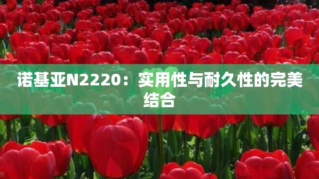 诺基亚N2220:实用性与耐久性的完美结合 诺基亚N2220:实用性与耐久性的完美结合