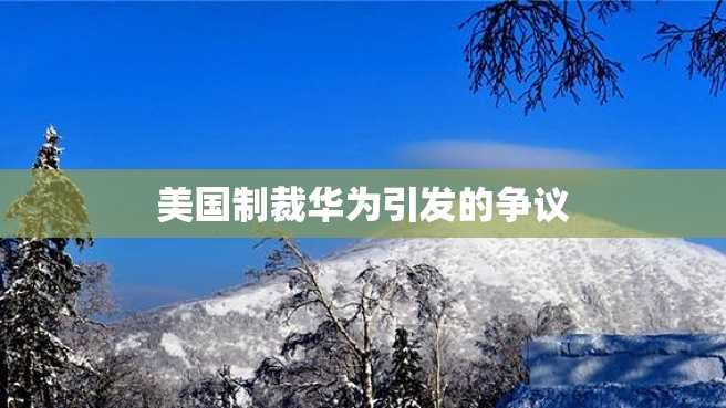 美国制裁华为引发的争议 美国制裁华为引发的争议
