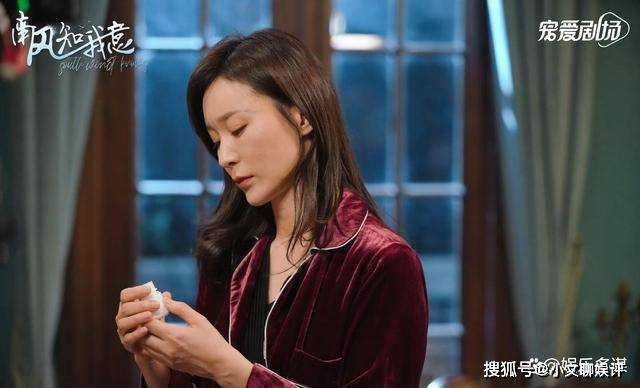 《南风知我意》傅云深朱旧定居国外 顾阮阮与傅西洲离婚后转身二嫁堂哥顾止恒