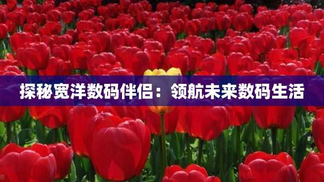 探秘宽洋数码伴侣:领航未来数码生活 探秘宽洋数码伴侣:领航未来数码生活