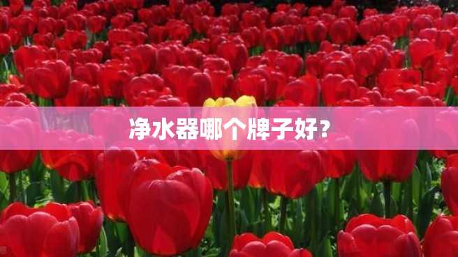 净水器哪个牌子好? 净水器哪个牌子好?