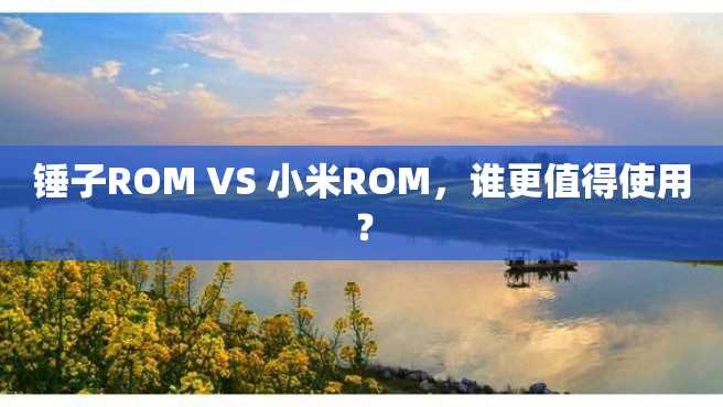 锤子ROM VS 小米ROM,谁更值得使用? 锤子ROM VS 小米ROM,谁更值得使用?
