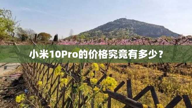 小米10Pro的价格究竟有多少? 小米10Pro的价格究竟有多少?