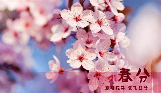 春分习俗有哪些 春分的风俗是什么