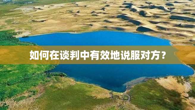 如何在谈判中有效地说服对方? 如何在谈判中有效地说服对方?