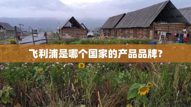 飞利浦是哪个国家的产品品牌? 飞利浦是哪个国家的产品品牌?