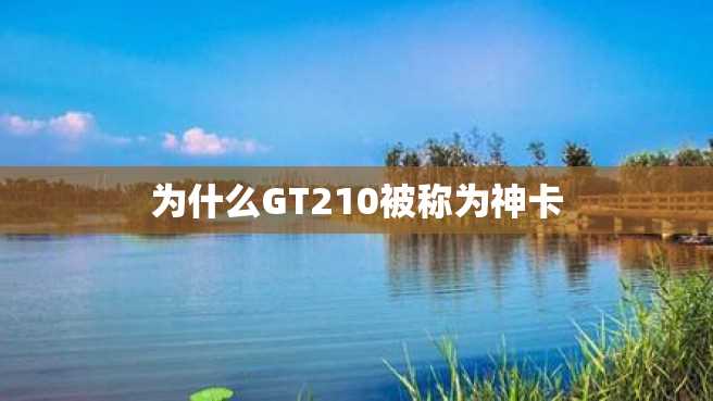 为什么GT210被称为神卡 为什么GT210被称为神卡