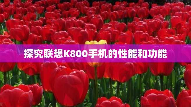 探究联想K800手机的性能和功能 探究联想K800手机的性能和功能