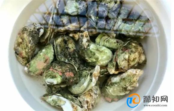 蒜蓉生蚝做法有窍门,记住一点做出来鲜嫩多汁,蒜香浓郁,无腥味