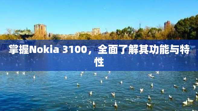 掌握Nokia 3100,全面了解其功能与特性 掌握Nokia 3100,全面了解其功能与特性