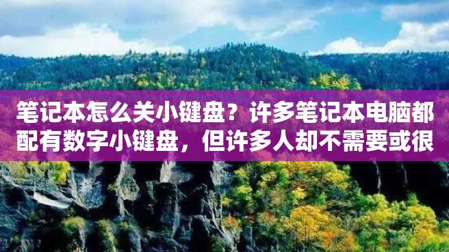 笔记本怎么关小键盘?许多笔记本电脑都配有数字小键盘,但许多人却不需要或很少使用它。在这种情况下,如何关闭数字小键盘是非常有用的信息。 笔记本怎么关小键盘?许多笔记本电脑都配有数字小键盘,但许多人却不需要或很少使用它。在这种情况下,如何关闭数字小键盘是非常有用的信息。