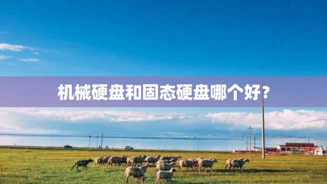 机械硬盘和固态硬盘哪个好? 机械硬盘和固态硬盘哪个好?