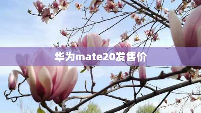 华为mate20发售价 华为mate20发售价