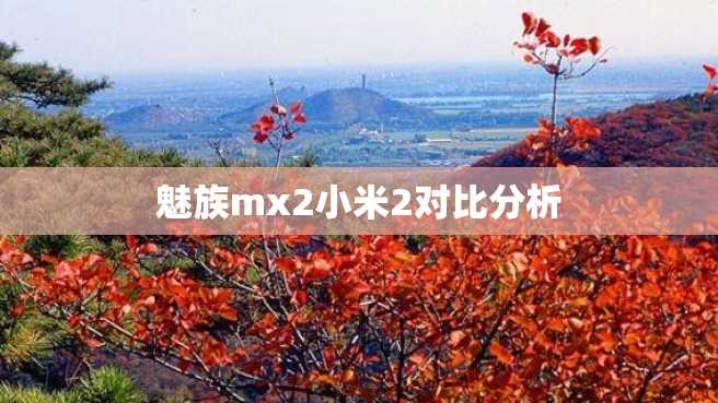 魅族mx2小米2对比分析 魅族mx2小米2对比分析