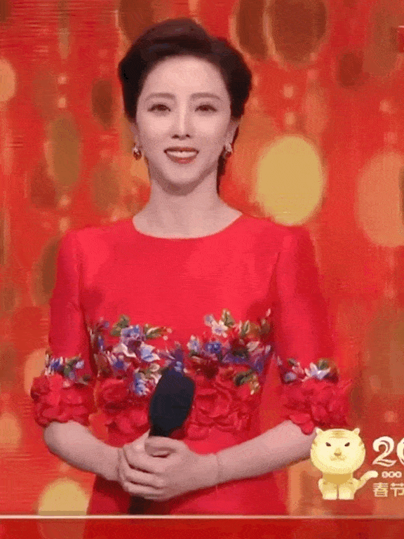 央视主播李思思离职，从背后反思社会现象