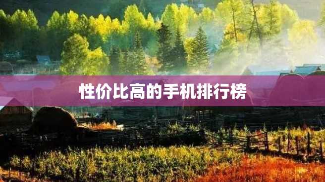 性价比高的手机排行榜 性价比高的手机排行榜