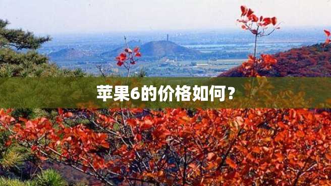 苹果6的价格如何? 苹果6的价格如何?