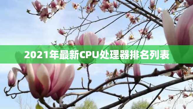 2021年最新CPU处理器排名列表 2023年最新CPU处理器排名列表