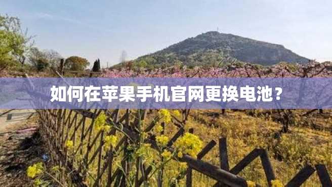 如何在苹果手机官网更换电池？