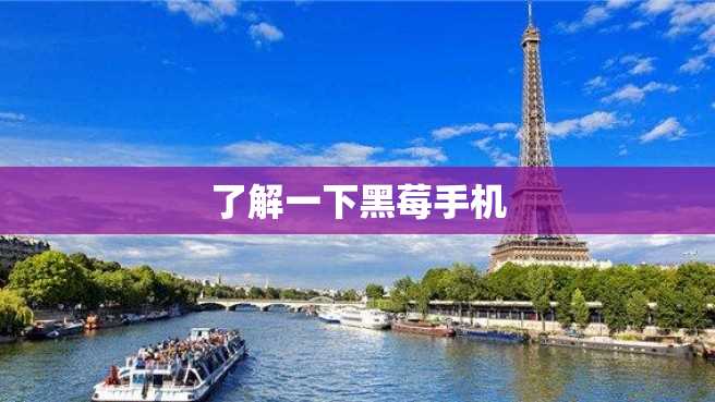 了解一下黑莓手机 了解一下黑莓手机