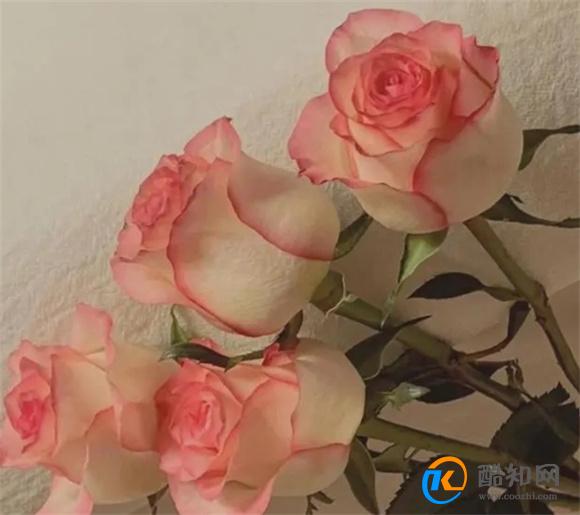 女人被婚外的爱情,撩动了心,她会变成这个样子