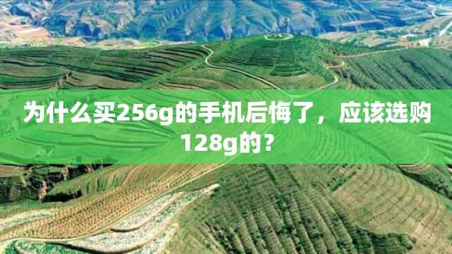 为什么买256g的手机后悔了,应该选购128g的? 为什么买256g的手机后悔了,应该选购128g的?