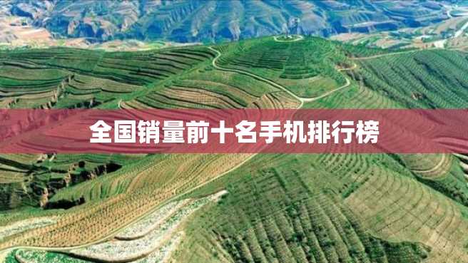 全国销量前十名手机排行榜 全国销量前十名手机排行榜