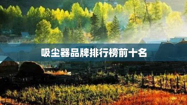 吸尘器品牌排行榜前十名 吸尘器品牌排行榜前十名