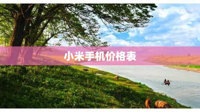 小米手机价格表 小米手机价格表