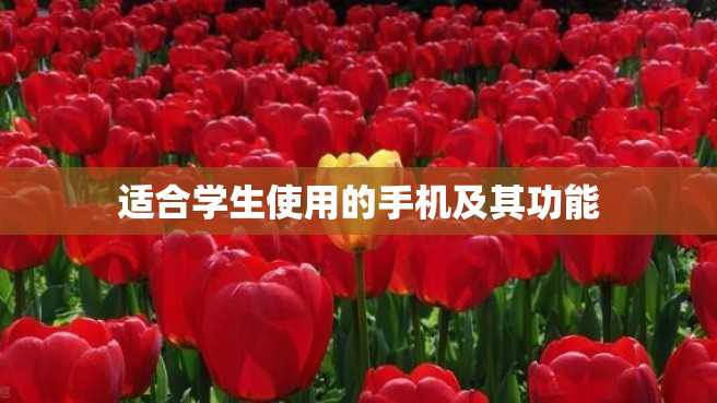 适合学生使用的手机及其功能 适合学生使用的手机及其功能
