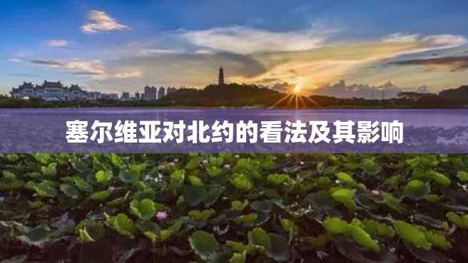 塞尔维亚对北约的看法及其影响 塞尔维亚对北约的看法及其影响