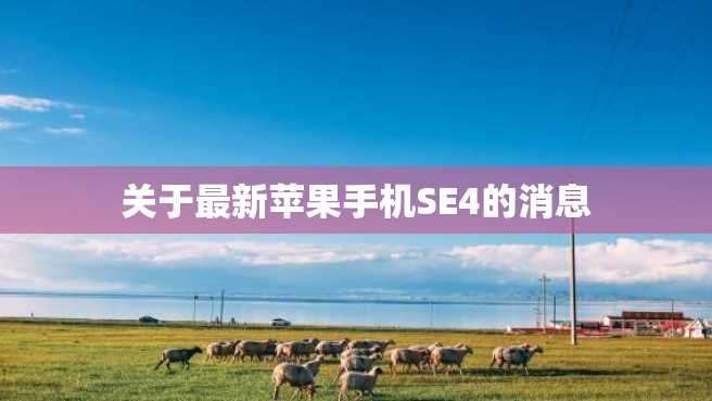 关于最新苹果手机SE4的消息 关于最新苹果手机SE4的消息
