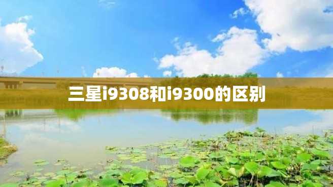 三星i9308和i9300的区别 三星i9308和i9300的区别
