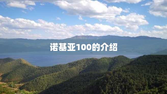 诺基亚100的介绍 诺基亚100的介绍
