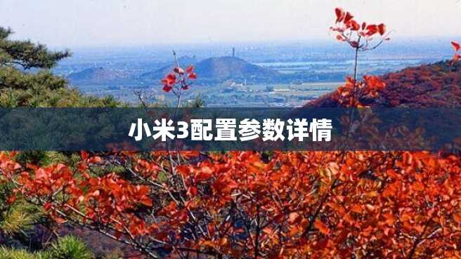 小米3配置参数详情 小米3配置参数详情